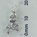 Skull & Cross Bones Pendant #021847