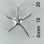 StarFish Pendant #021803