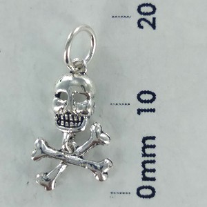 Skull & Cross Bones Pendant #021847